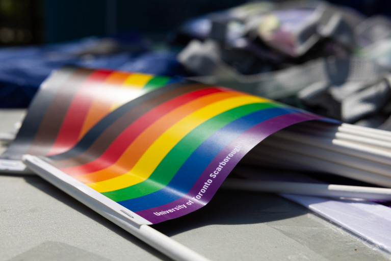 A photo of 8-colour Pride flags laid out on a table at a Pride event. (colours are: black, brown, red, orange, yellow, green, blue, and purple)
